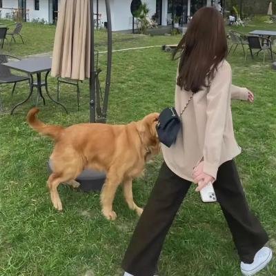 网